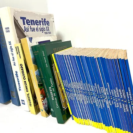 Semesterbostad Casa Vacacional Bevi - Tenerife Norte Los Realejos