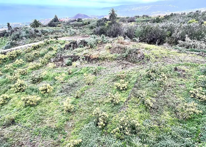 Casa Vacacional Bevi - Tenerife Norte