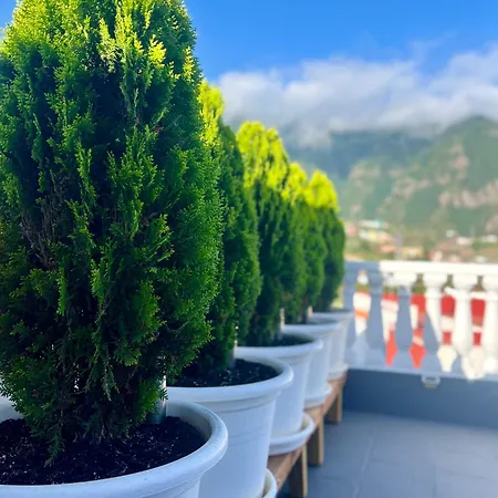 Casa Vacacional Bevi - Tenerife Norte Los Realejos